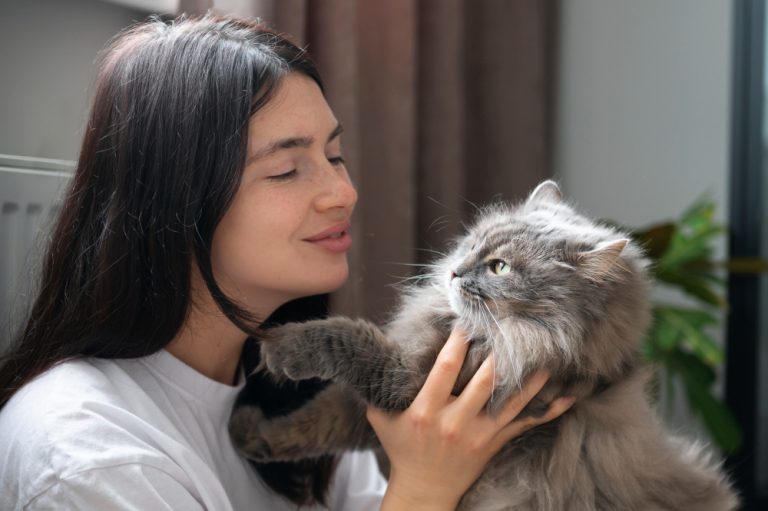 memelihara kucing