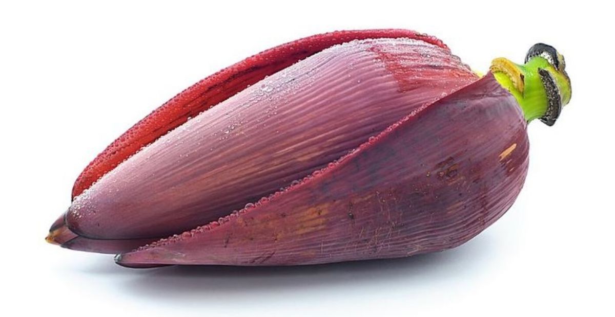 jantung pisang