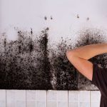 black mold
