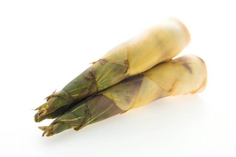 tips memasak rebung